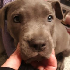 Meet your Posher, Gwen